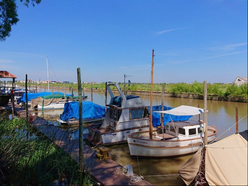 Rio Delta - Tigre - Buenos Aires - Argentina - Am