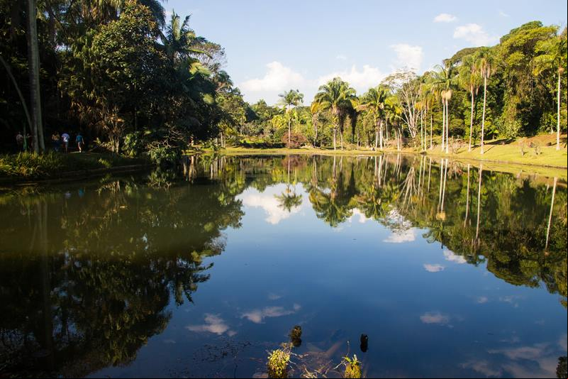 Viajar no feriado de Carnaval para o Amazonas - Estado do Amazonas - Carnaval 2026 no Amazonas