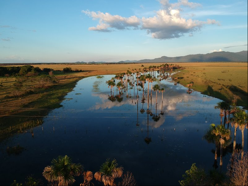 Viajar no feriado de Carnaval para Boa Vista - Estado de Roraima - Regi