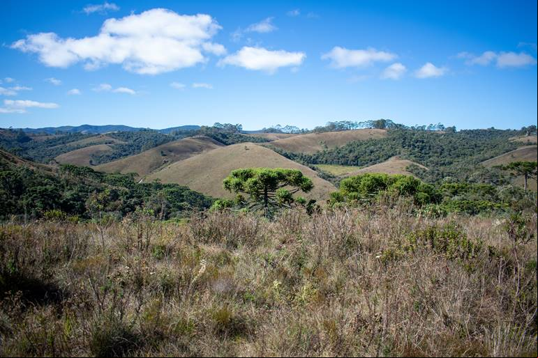 Serra da Mantiqueira - Campos do Jord