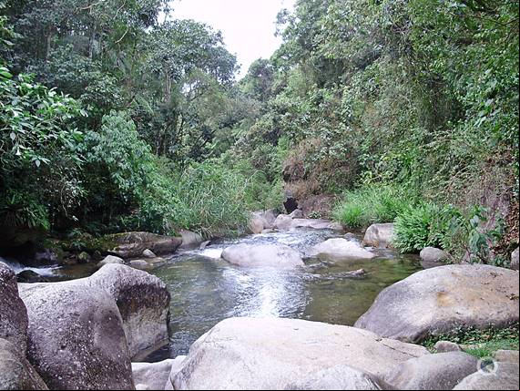 Cachoeira - Maromba - Regi