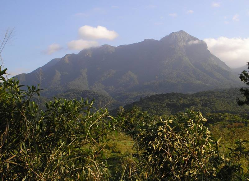 Conjunto Marumbi - Serra do Mar - Morretes - Estado do Paran
