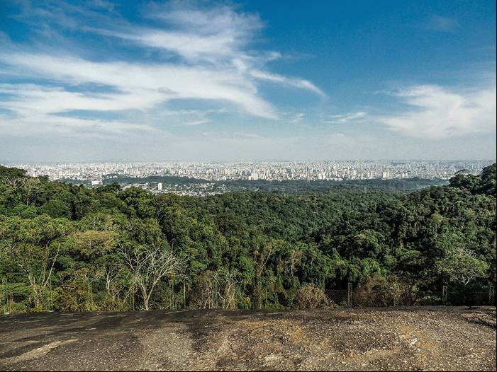 Parque Estadual Cantareira - N