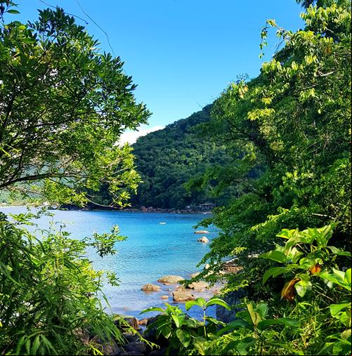Praia da Fortaleza - Trilha das Sete Praias - Ubatuba - Litoral Norte de S